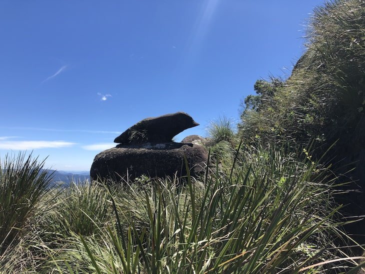 Serra da Mantiqueira trekking pico dos marins